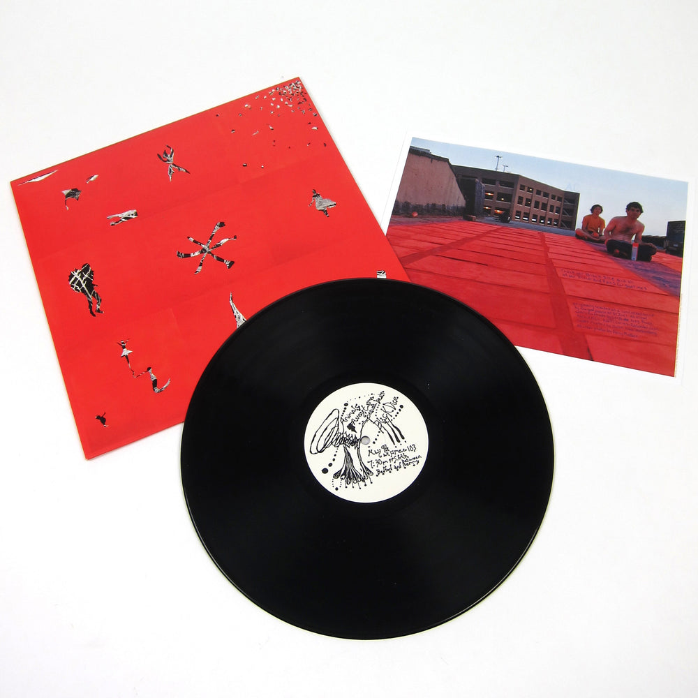 Animal Collective: Hollinndagain Vinyl LP