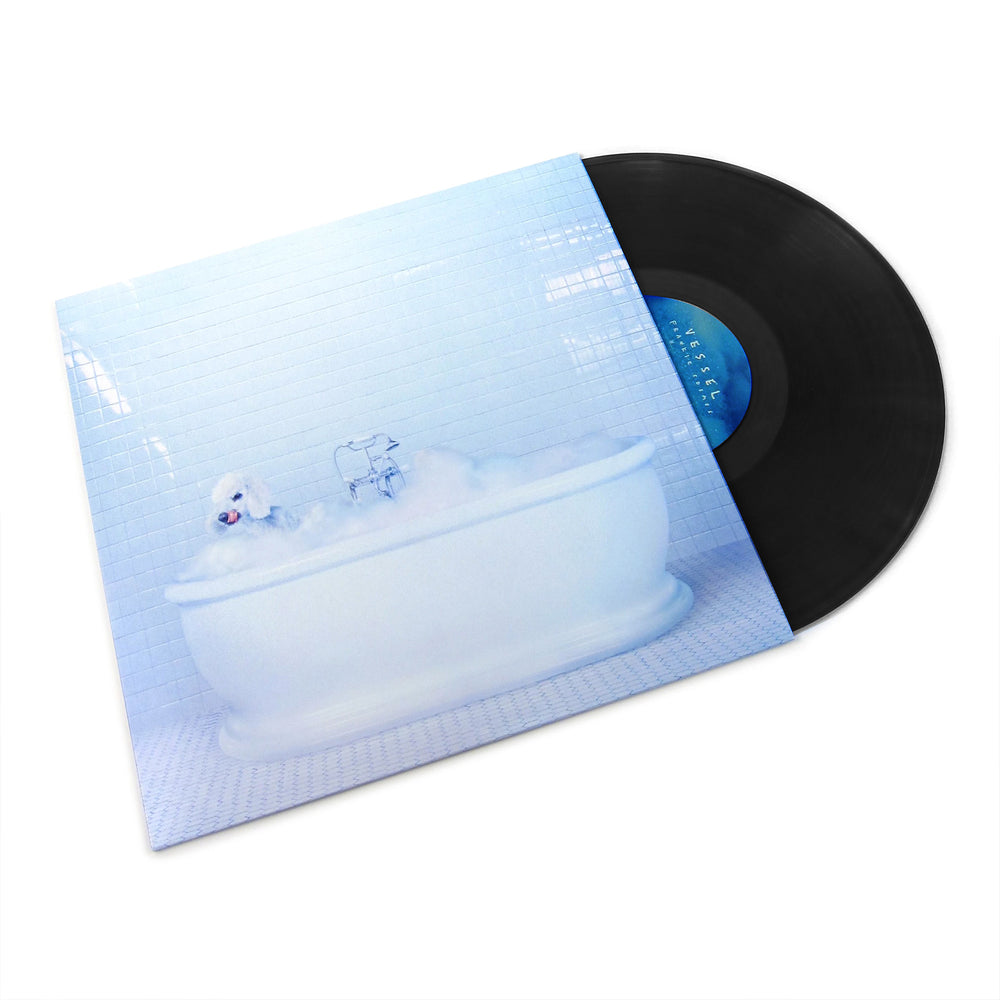 Frankie Cosmos: Vessel Vinyl LP