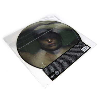Sky Ferreira: Night Time, My Time Picture Disc Vinyl LP (Record Store Day 2014) detail