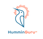 HumminGuru Ultrasonic Record Cleaners