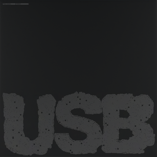 Fred Again: USB002 Vinyl 2LP