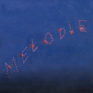 Slow Pulp: Melodie (Indie Exclusive Colored Vinyl) Vinyl LP