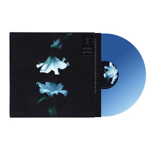 Wasia Project: Nocturne (Indie Exclusive Colored Vinyl) Vinyl LP