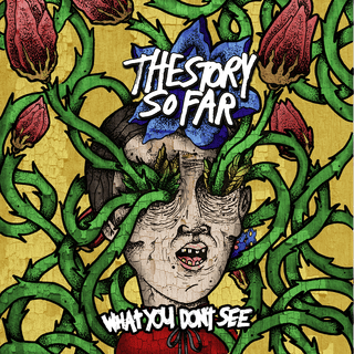 The Story So Far: What You Don't See (Crayons Marble Vinyl) Vinyl LP