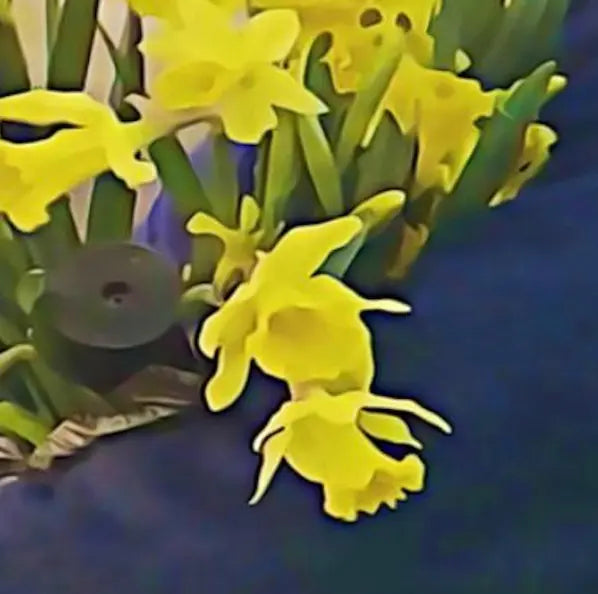 dean blunt & Elias Rønnenfelt lucre レコード Dean Blunt & Elias Ronnenfelt: Lucre (Import, 180g) Vinyl LP