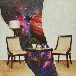 Rainbow Kitten Surprise: How To Friend, Love, Freefall Vinyl LP