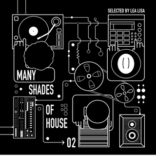 Favorite Recordings: Many Shades Of House Vol.2 - Selected By Lea Lisa Vinyl 2LP