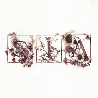 Sia: Colour The Small One (Colored Vinyl) Vinyl LP