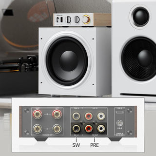 FiiO: Jade Audio LEVEL 1 Compact Amplifier w/ Bluetooth