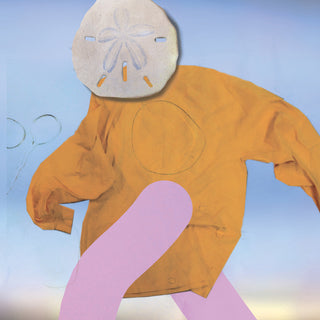 SML: How You Been Vinyl LP