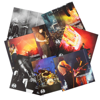 King Gizzard And The Lizard Wizard: Live At Forest Hills Stadium '24 (Colored Vinyl) Vinyl 8LP Boxset