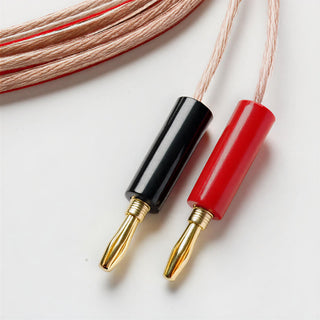 Pro-Ject: Colorful Audio System E Turntable Package