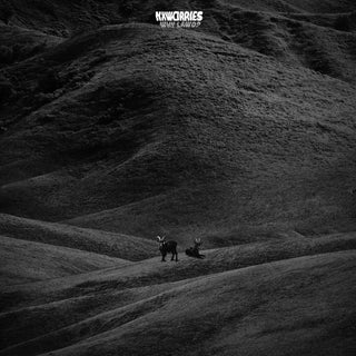 NxWorries: Why Lawd? (Knxwledge & Anderson .Paak) Vinyl 2LP