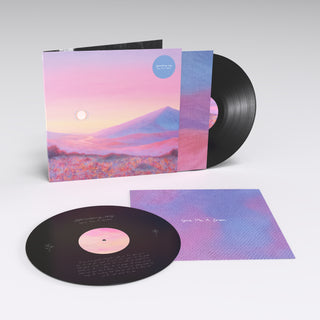 Strawberry Guy: Give Me A Dream (180g) Vinyl 2LP