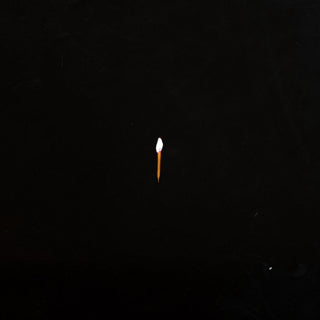 Sault: Chapter 1 Vinyl LP