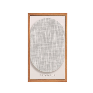 Triangle: BR02 Connect Powered Speakers w/Bluetooth - Pair
