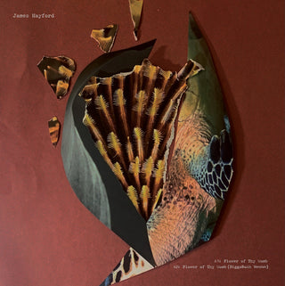 James Hayford & BiggaBush: Split EP Vinyl 12"