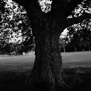Archy Marshall: A New Place 2 Drown - Instrumentals (King Krule) Vinyl LP