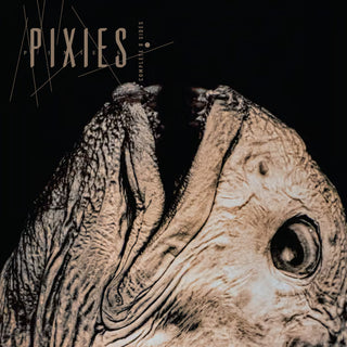 Pixies: Complete B-Sides 1988-97 (Indie Exclusive Colored Vinyl) Vinyl 2LP