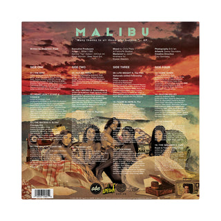 Anderson Paak: Malibu - 10th Anniversary Edition (Zoetropic Pic Disc) Vinyl 2LP