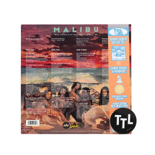 Anderson .Paak: Malibu - 10th Anniversary Edition (Zoetropic Pic Disc) Vinyl 2LP