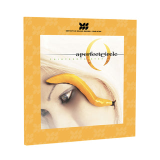A Perfect Circle: Thirteenth Step (DSS One-Step 180g) Vinyl 2LP