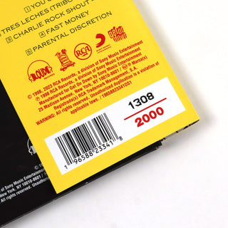 Big Pun: Capital Punishment 25th Anniversary (Colored Vinyl) Vinyl LP