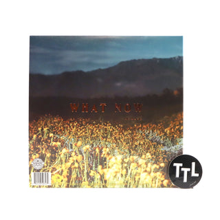 Brittany Howard: What Now (Colored Vinyl) Vinyl LP