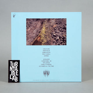 Chat Pile: Who Loves The Sun (Colored Vinyl) Vinyl LP - Turntable Lab Exclusive 