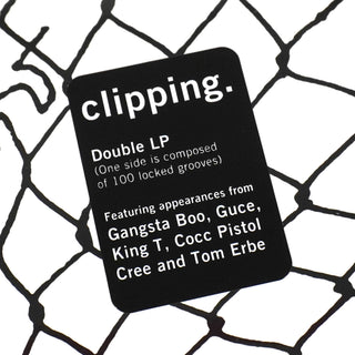 Clipping: CLPPNG Vinyl 2LP