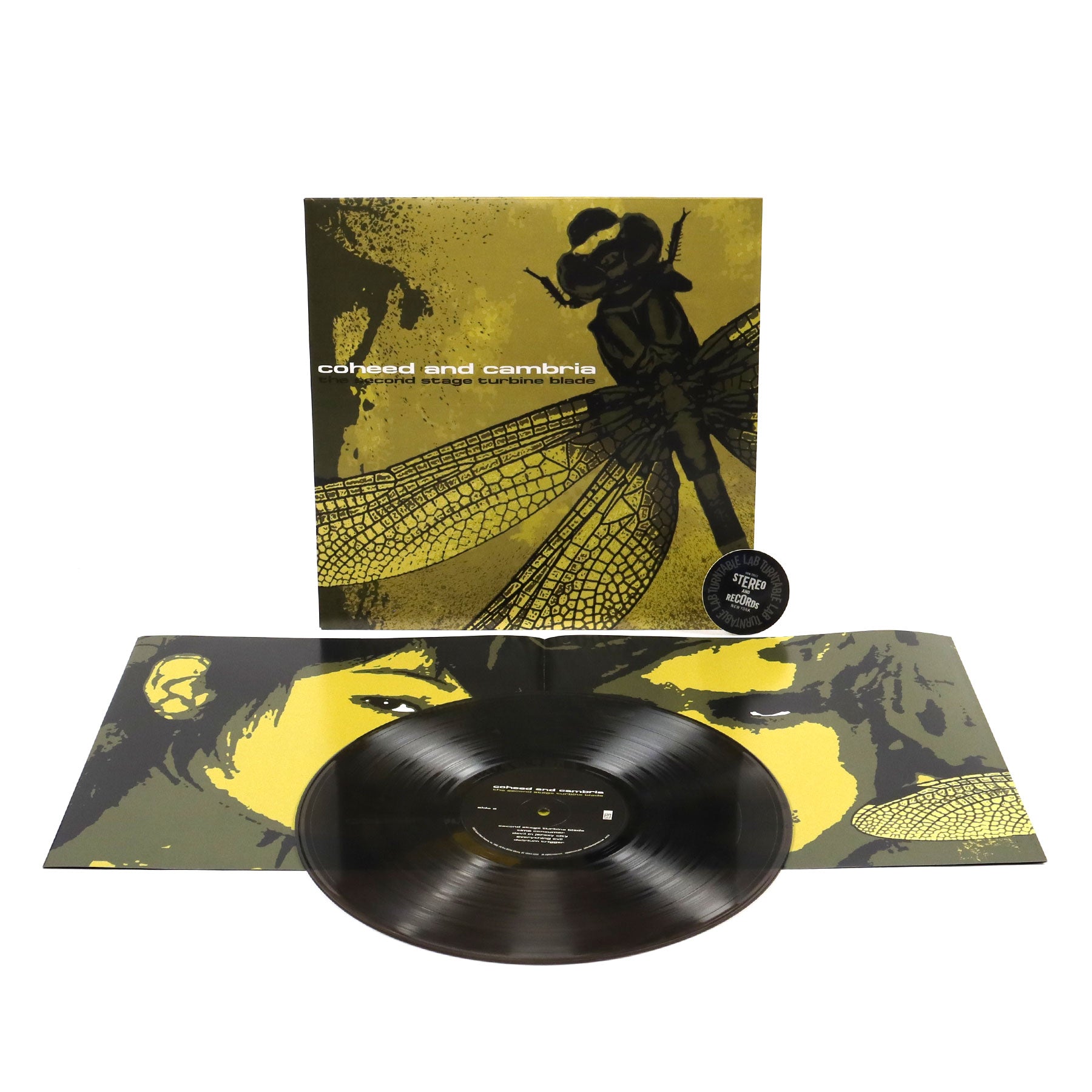 Rock Sound Presents - 2000Trees '25 (C\u0026C): Mag + T-Shirt, image size:1800x1800