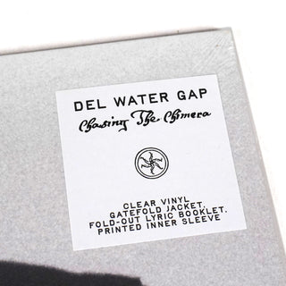 Del Water Gap: Chasing The Chimera (Colored Vinyl) Vinyl LP