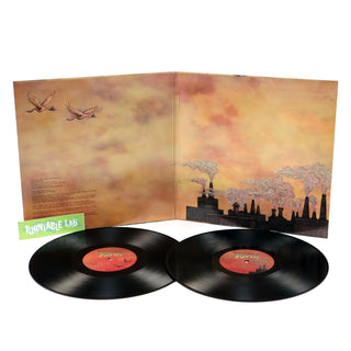 Dinosaur Jr.: Farm Vinyl 2LP