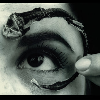 Mr. Bungle: Disco Volante (Colored Vinyl) Vinyl 2LP