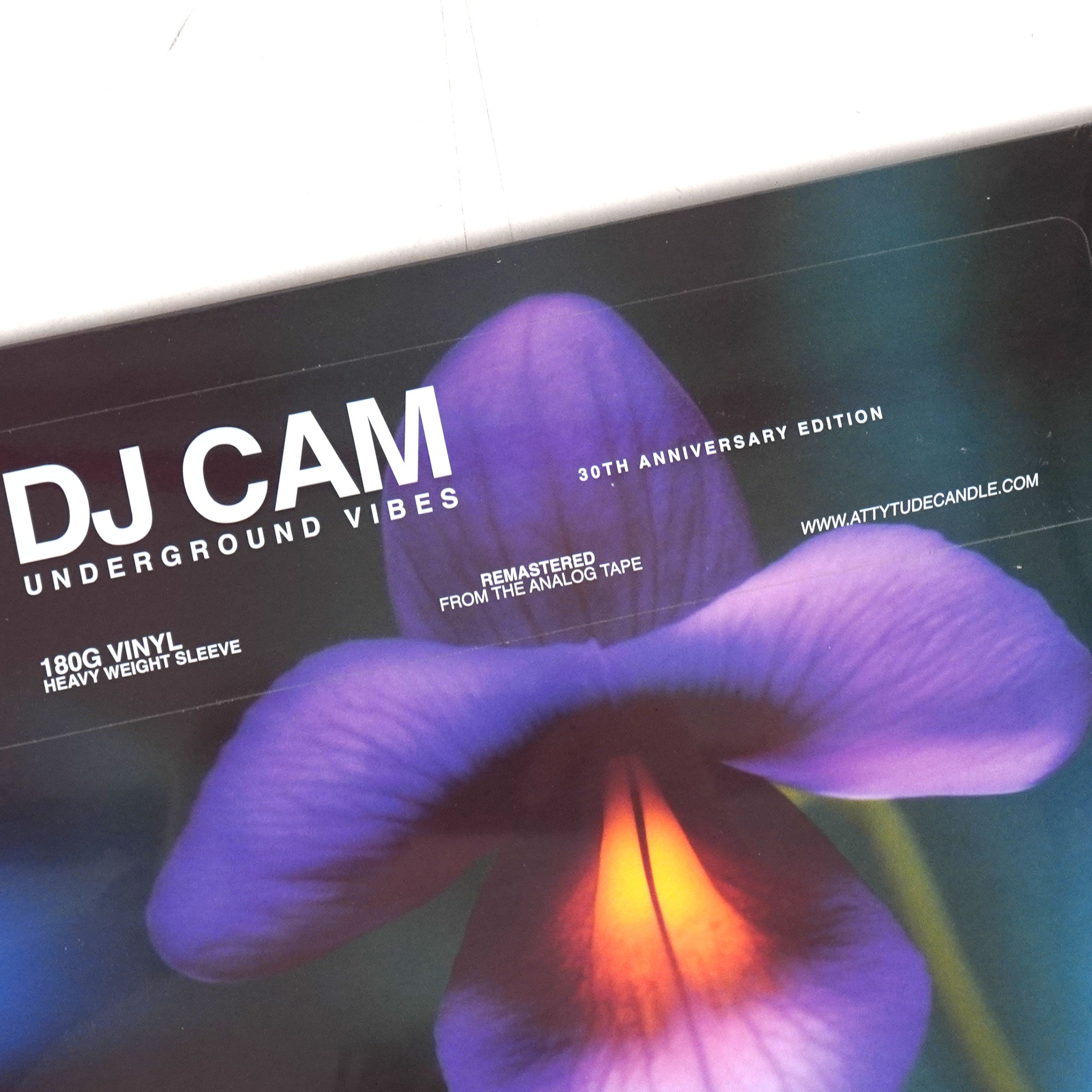 DJ CAM UNDERGROUND VIBES レコード DJ Cam: Underground Vibes - 30th Anniversary Edition (180g) Vinyl