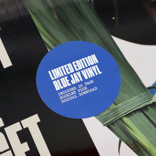 Durand Jones: Wait Til I Get Over (Colored Vinyl) Vinyl LP