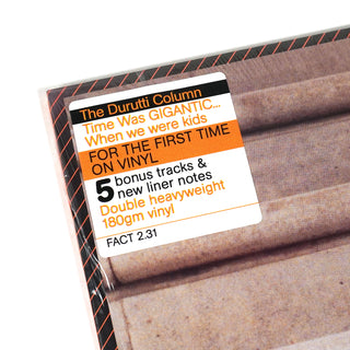 The Durutti Column: Time Was Gigantic... When We Were Kids Vinyl 2LP