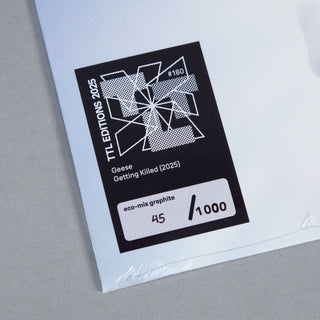 Geese: Getting Killed (Colored Vinyl) Vinyl LP - Turntable Lab Exclusive