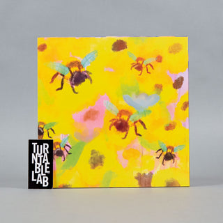 Gingerbee: Apiary / Our Skies Smile (Colored Vinyl) Vinyl LP - Turntable Lab Exclusive