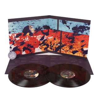 Grizzly Bear: Painted Ruins (Colored Vinyl) Vinyl 2LP -