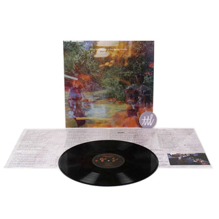 Haley Heynderickx & Max García Conover: What Of Our Nature Vinyl LP