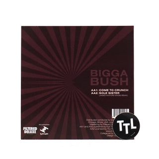 James Hayford & BiggaBush: Split EP Vinyl 12"