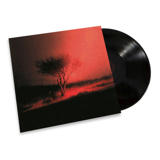 Joji: Piss In The Wind Vinyl LP