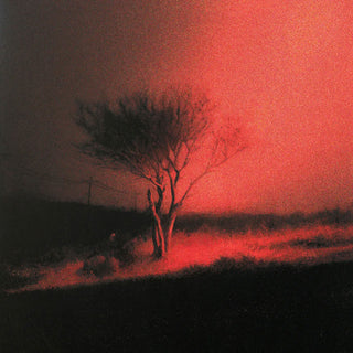 Joji: Piss In The Wind (Lava Flow Colored Vinyl) Vinyl LP - Turntable Lab Exclusive