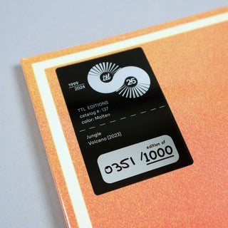 Jungle: Volcano (Colored Vinyl) Vinyl LP - Turntable Lab Exclusive