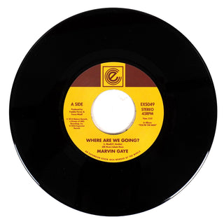 Marvin Gaye: Where Are We Going / Woman Of The World (Import) Vinyl 7"