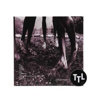 Pearl Jam: Vs. (Colored Vinyl) Vinyl LP