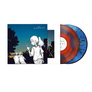What Is Your Name?: The Now Now and Never (Colored Vinyl) Vinyl 2LP