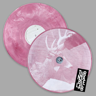 Racing Mount Pleasant: Racing Mount Pleasant (Colored Vinyl) Vinyl 2LP - Turntable Lab Exclusive