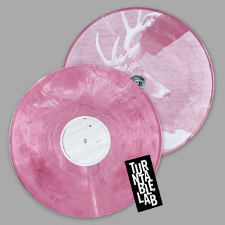 Racing Mount Pleasant: Racing Mount Pleasant (Colored Vinyl) Vinyl 2LP - Turntable Lab Exclusive